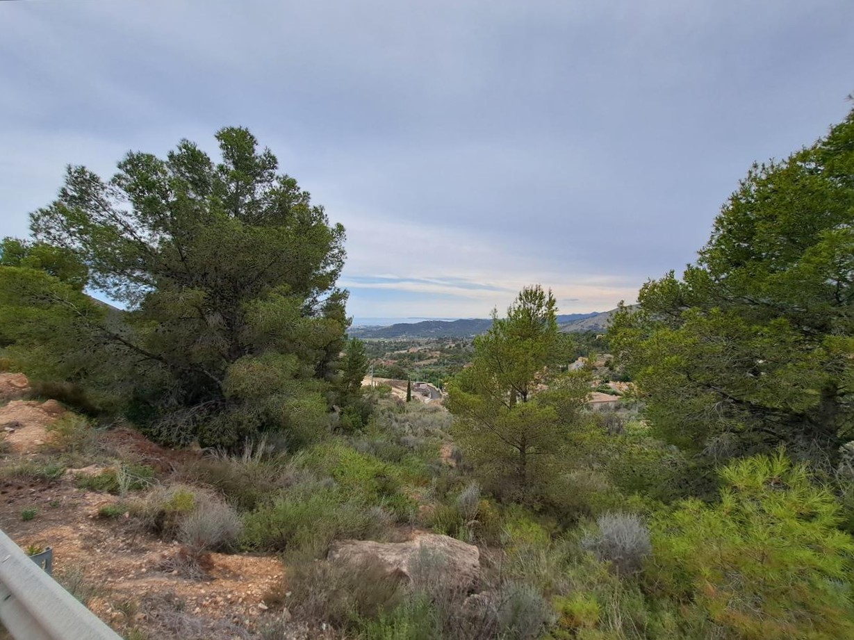 undefined - Image 4