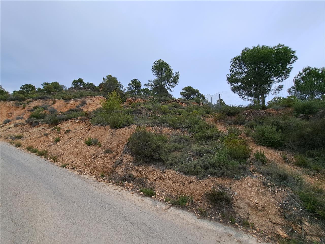 undefined - Image 5
