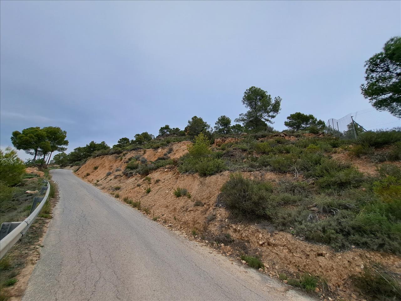 undefined - Image 6