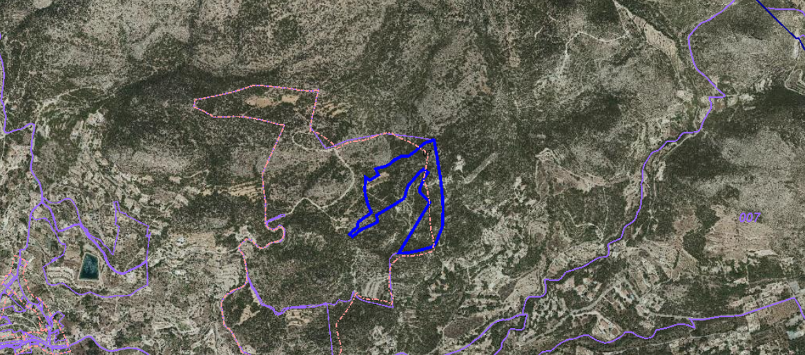 undefined - Image 10