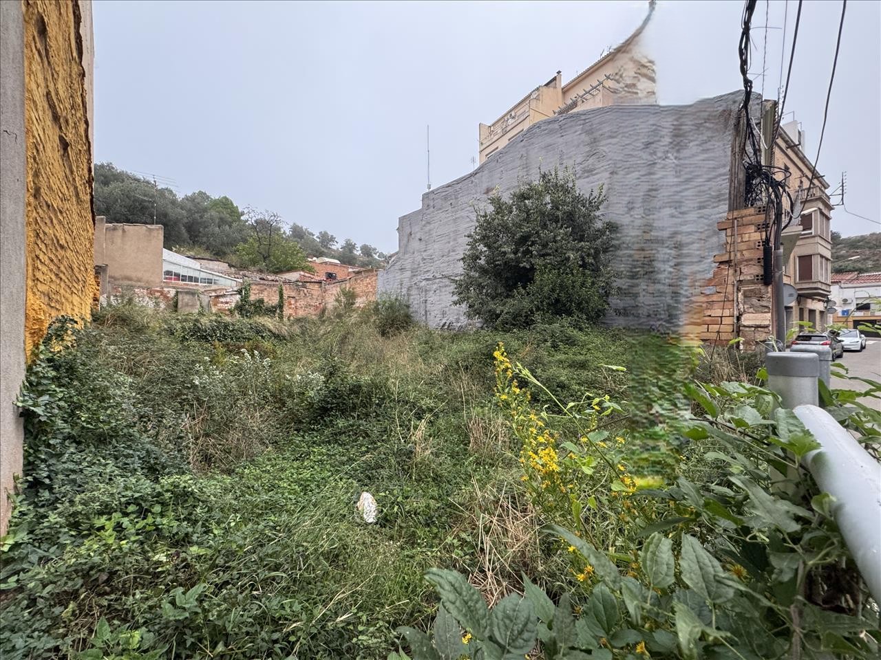 undefined - Image 8