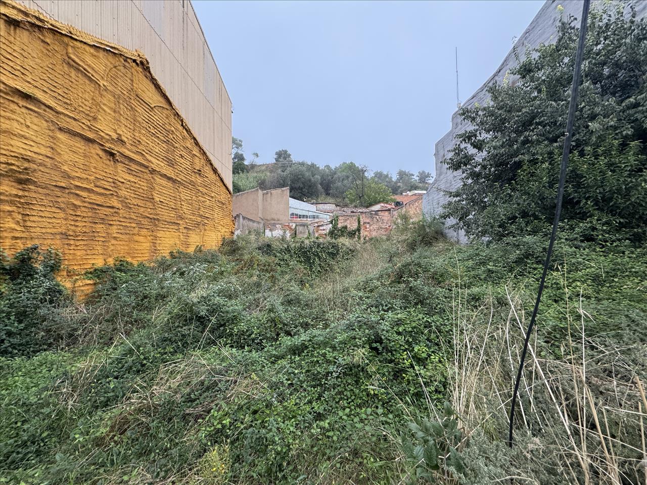 undefined - Image 6