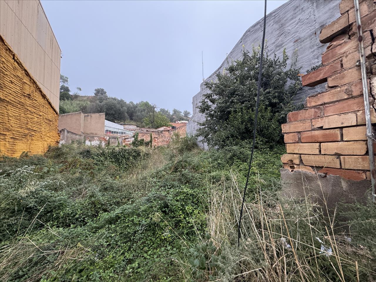 undefined - Image 7