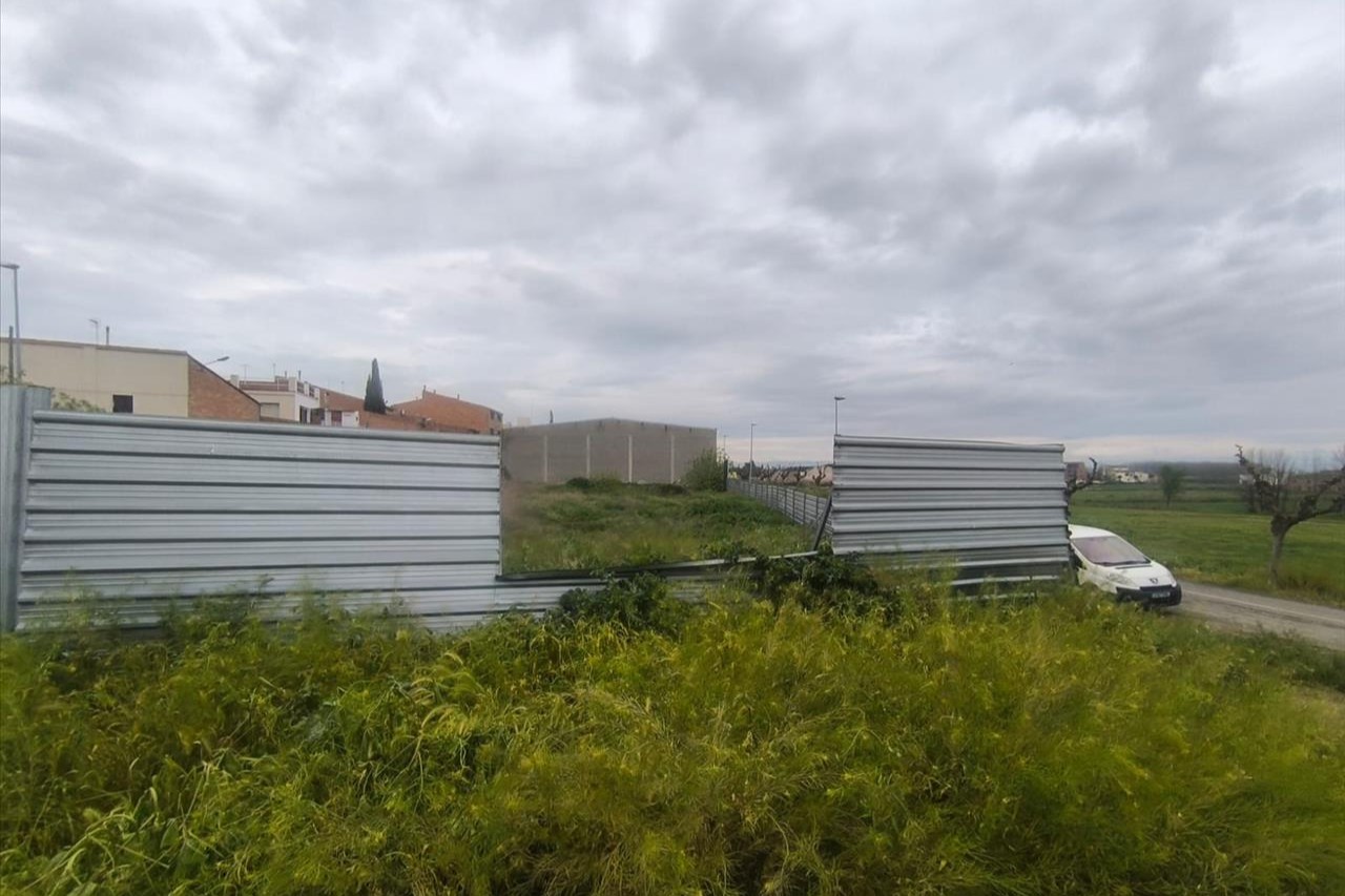 undefined - Image 8