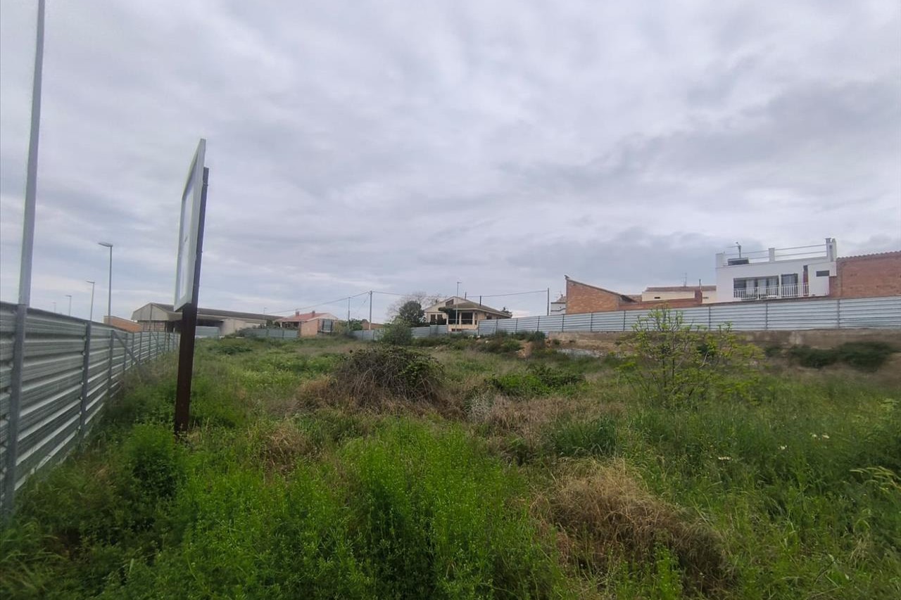 undefined - Image 12
