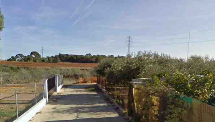 - Image 7