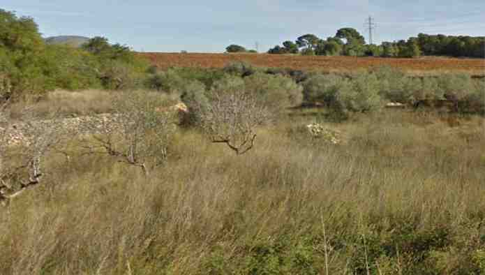 - Image 9