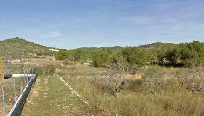- Image 8