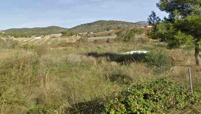 - Image 10