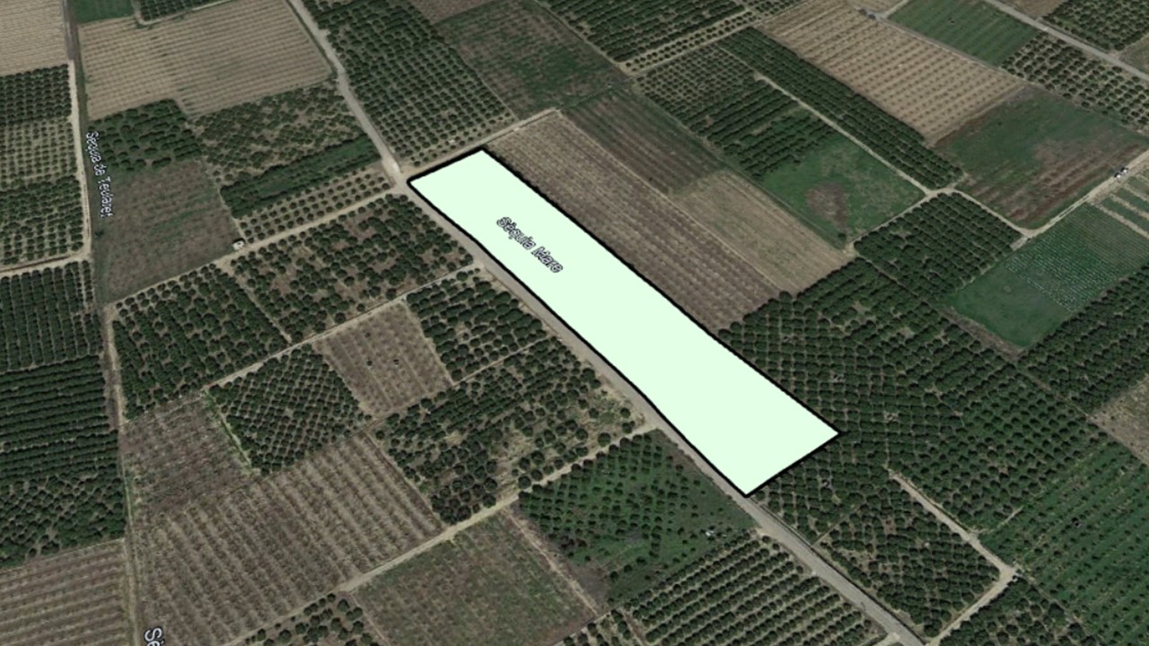 Venta de Finca Rústica en Teularet (Poligono 1 - Parcela 83). Realengo Benimuslem (Valencia/València) - Image 6