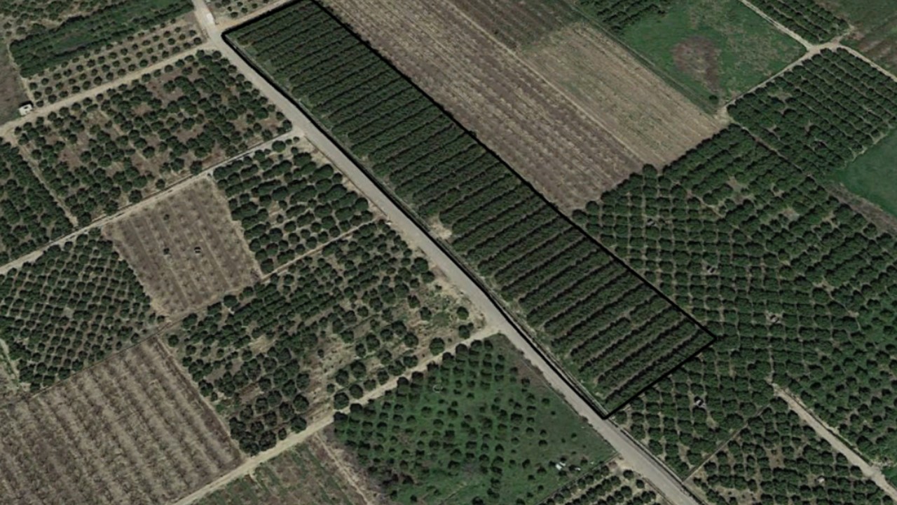 Venta de Finca Rústica en Teularet (Poligono 1 - Parcela 83). Realengo Benimuslem (Valencia/València) - Image 8