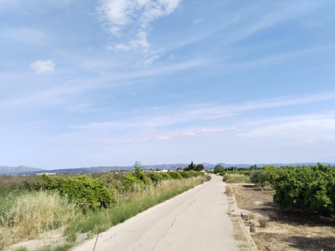 Venta de Finca Rústica en Teularet (Poligono 1 - Parcela 83). Realengo Benimuslem (Valencia/València) - Image 1