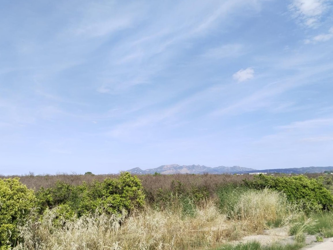 Venta de Finca Rústica en Teularet (Poligono 1 - Parcela 83). Realengo Benimuslem (Valencia/València) - Image 2