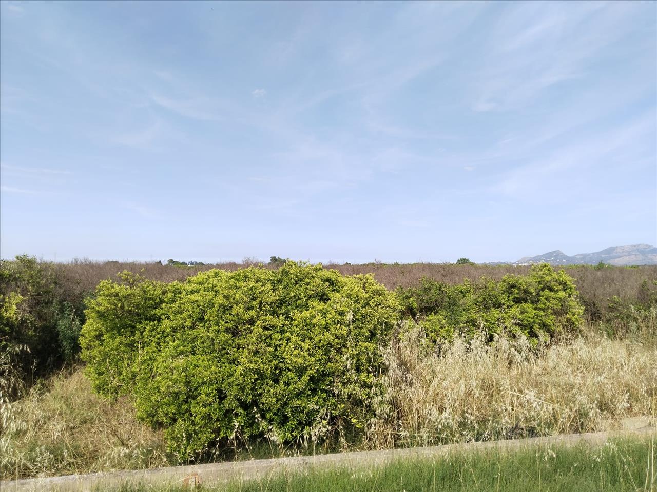 Venta de Finca Rústica en Teularet (Poligono 1 - Parcela 83). Realengo Benimuslem (Valencia/València) - Image 3