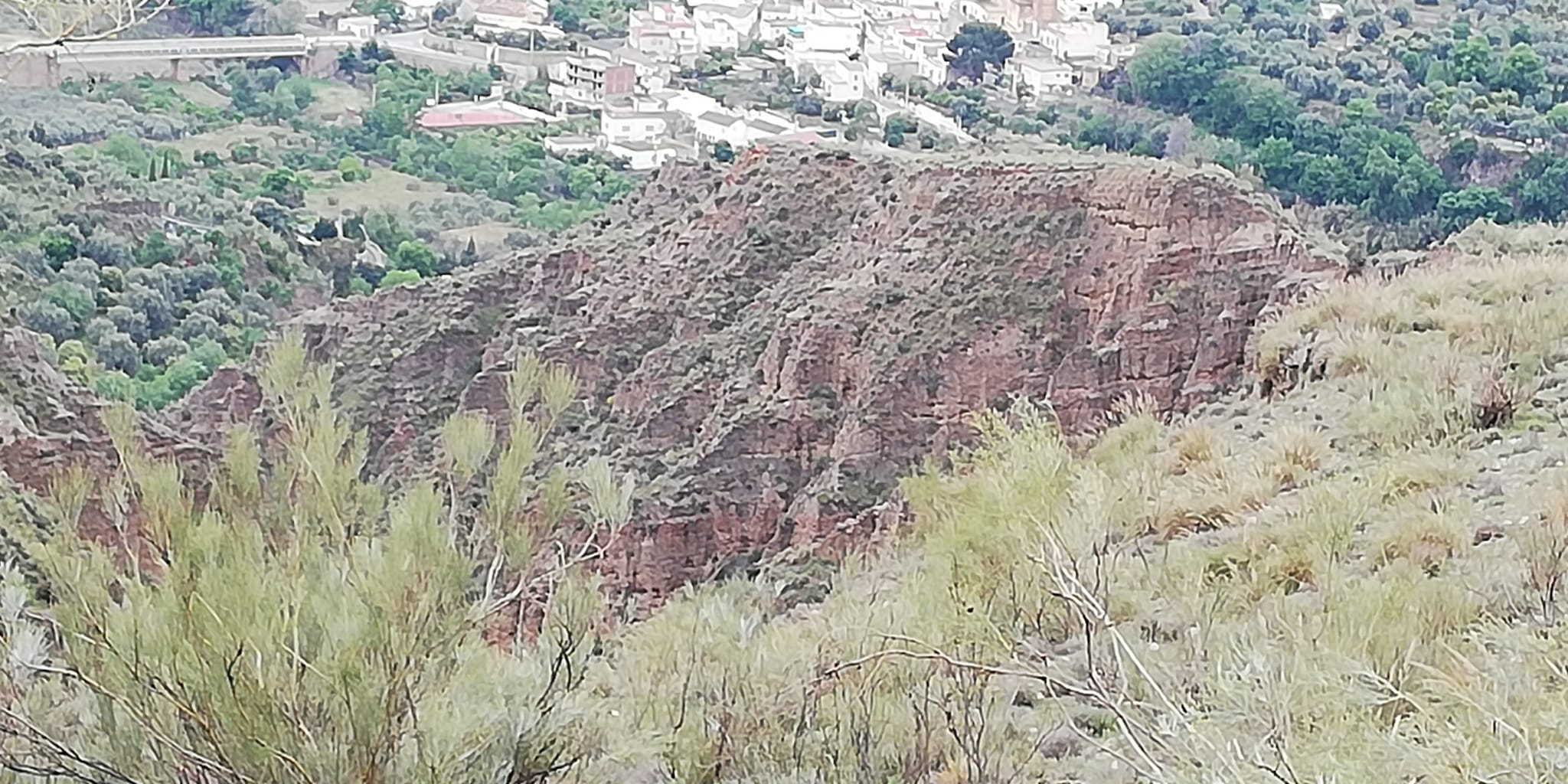 Finca rústica en Cortijo La Cara