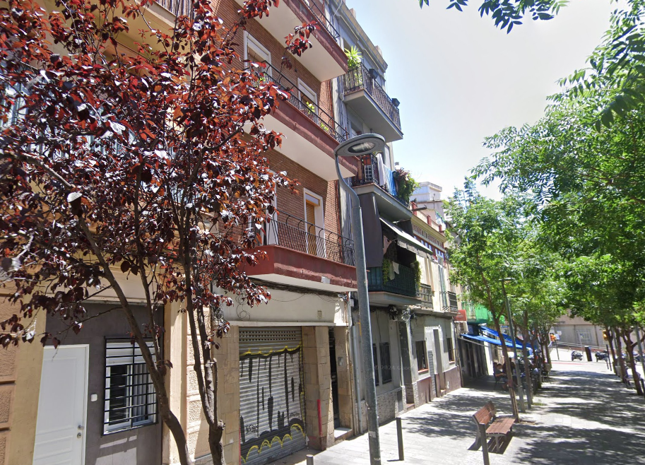 - Image 7