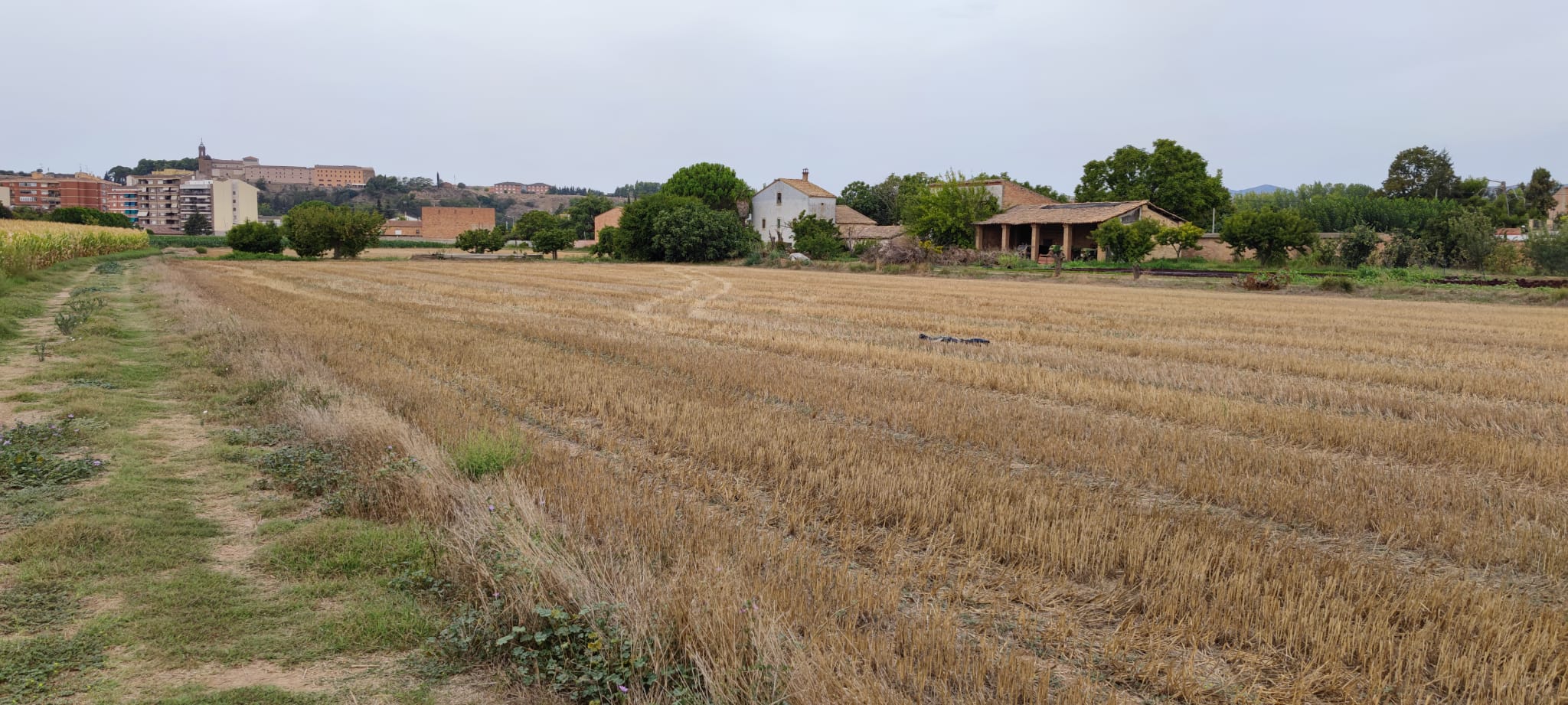Suelo urbanizable residencial en Camarasa-Sau4