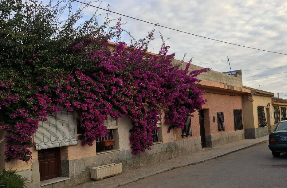 Murcia