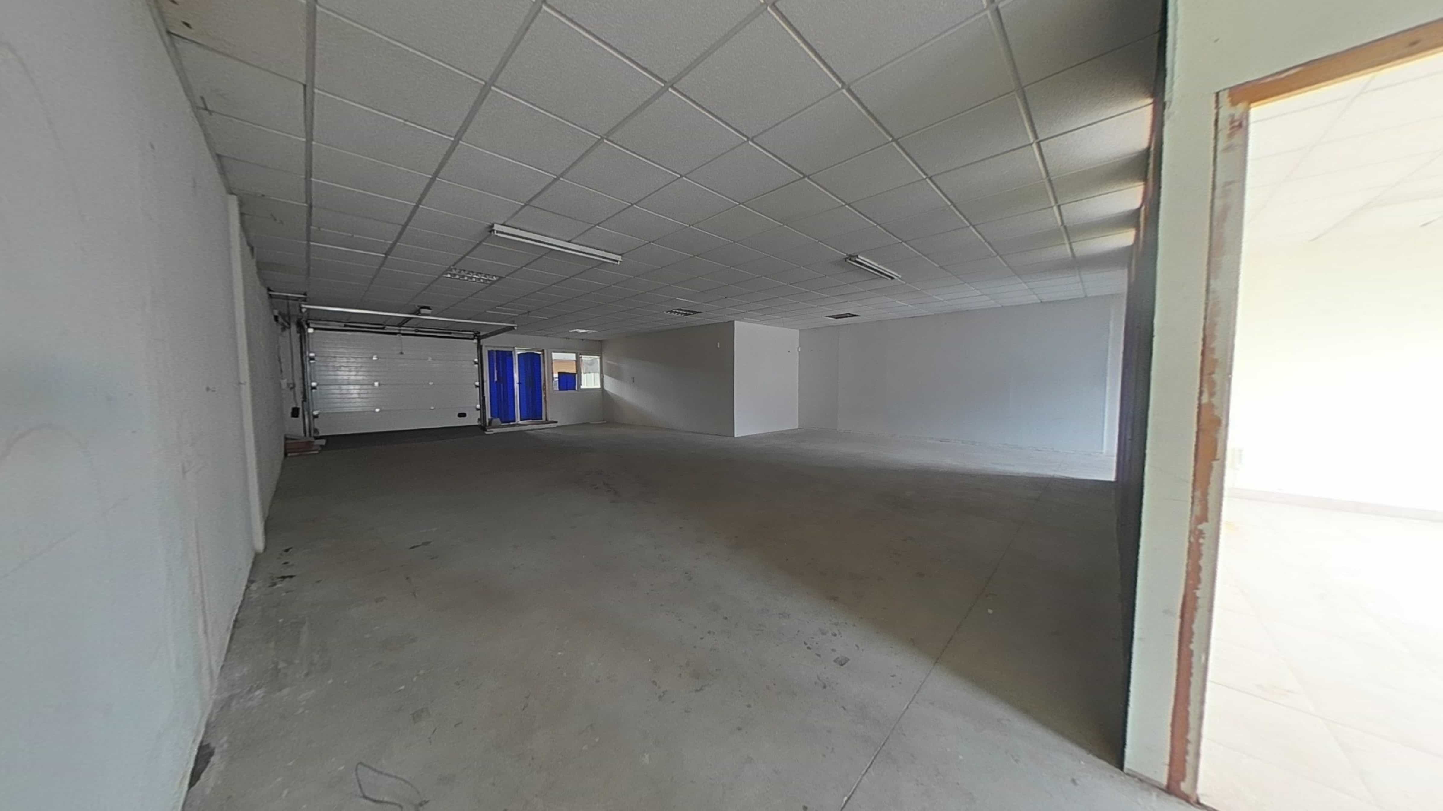  - Image 11