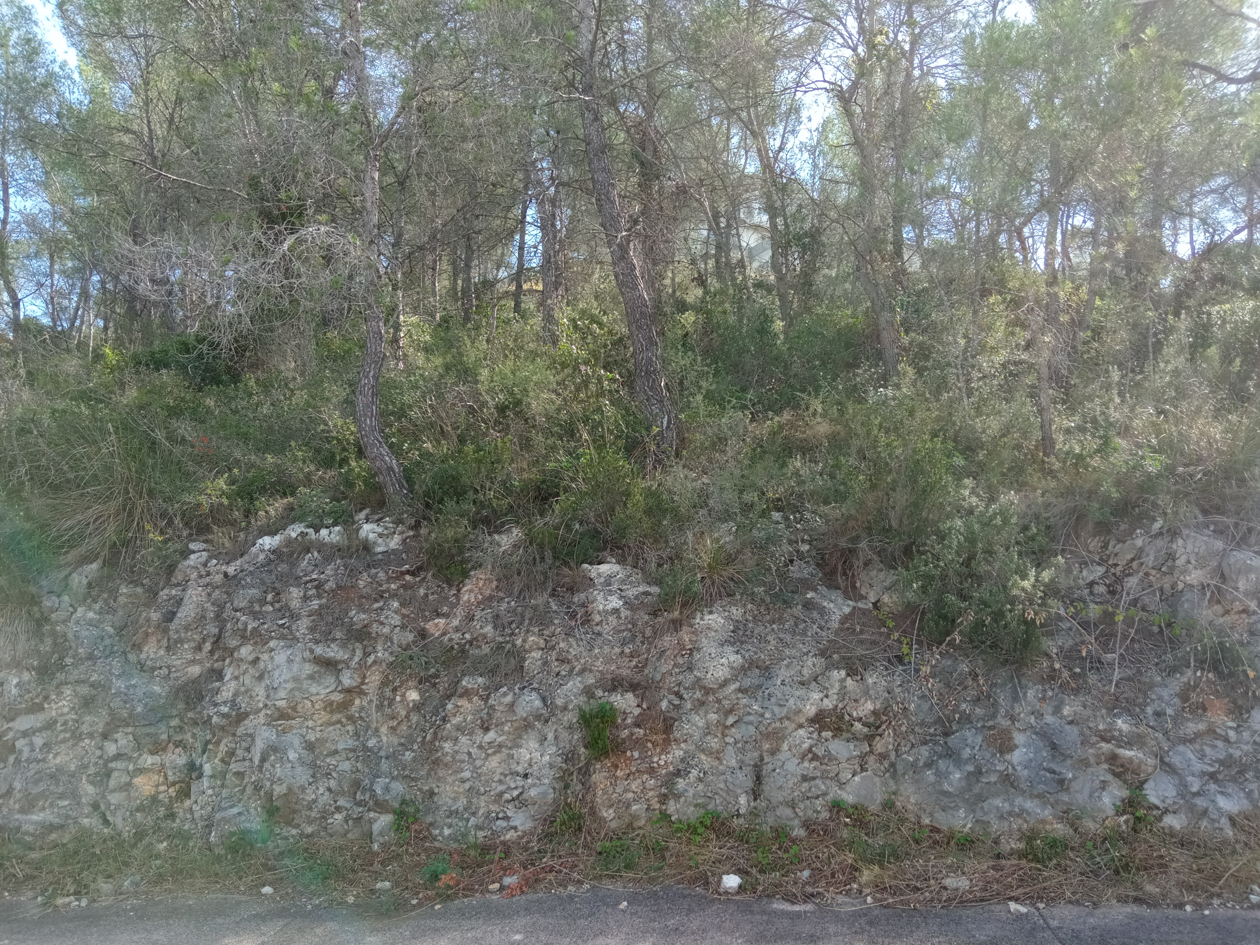  - Image 5