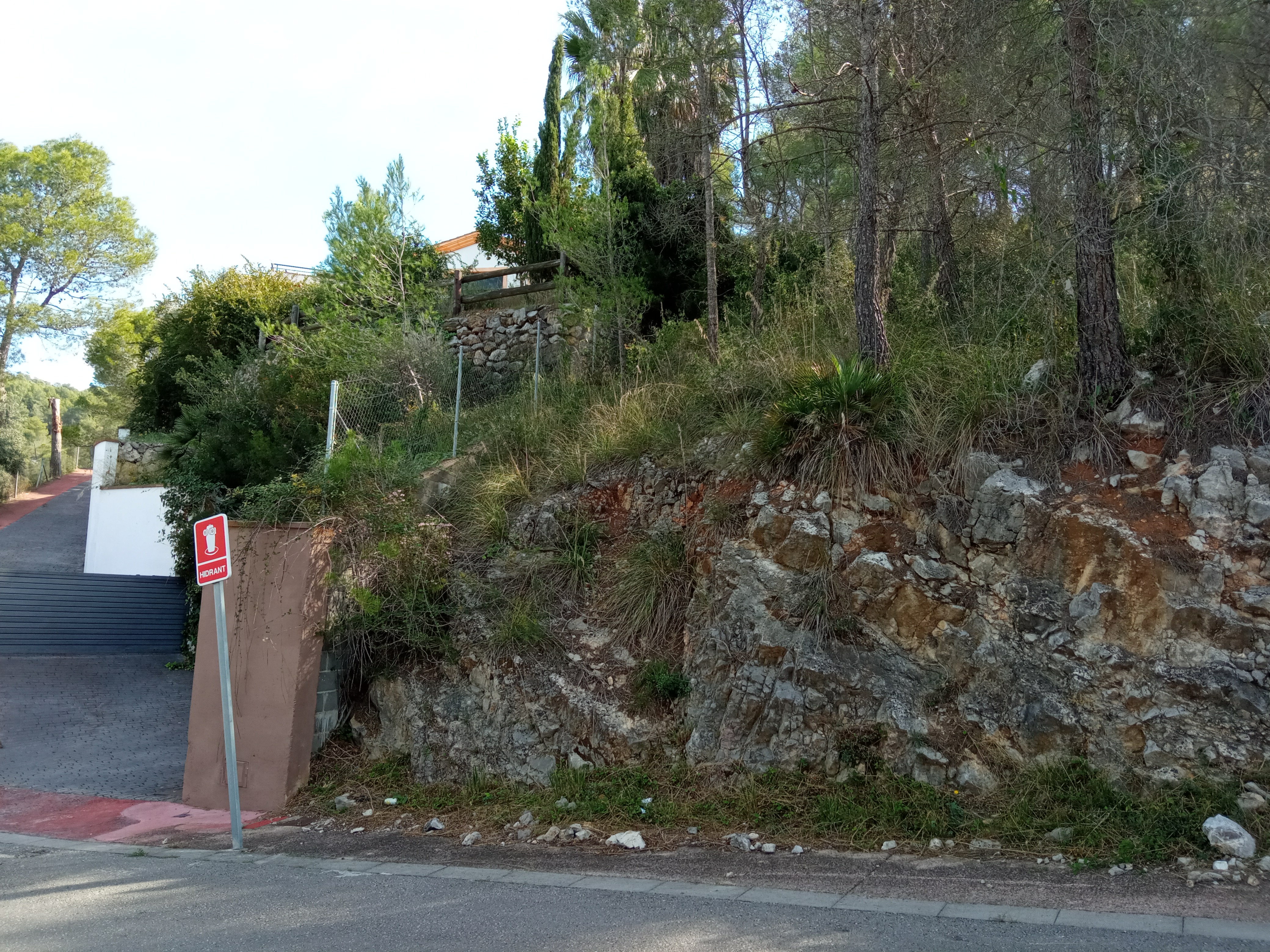  - Image 3