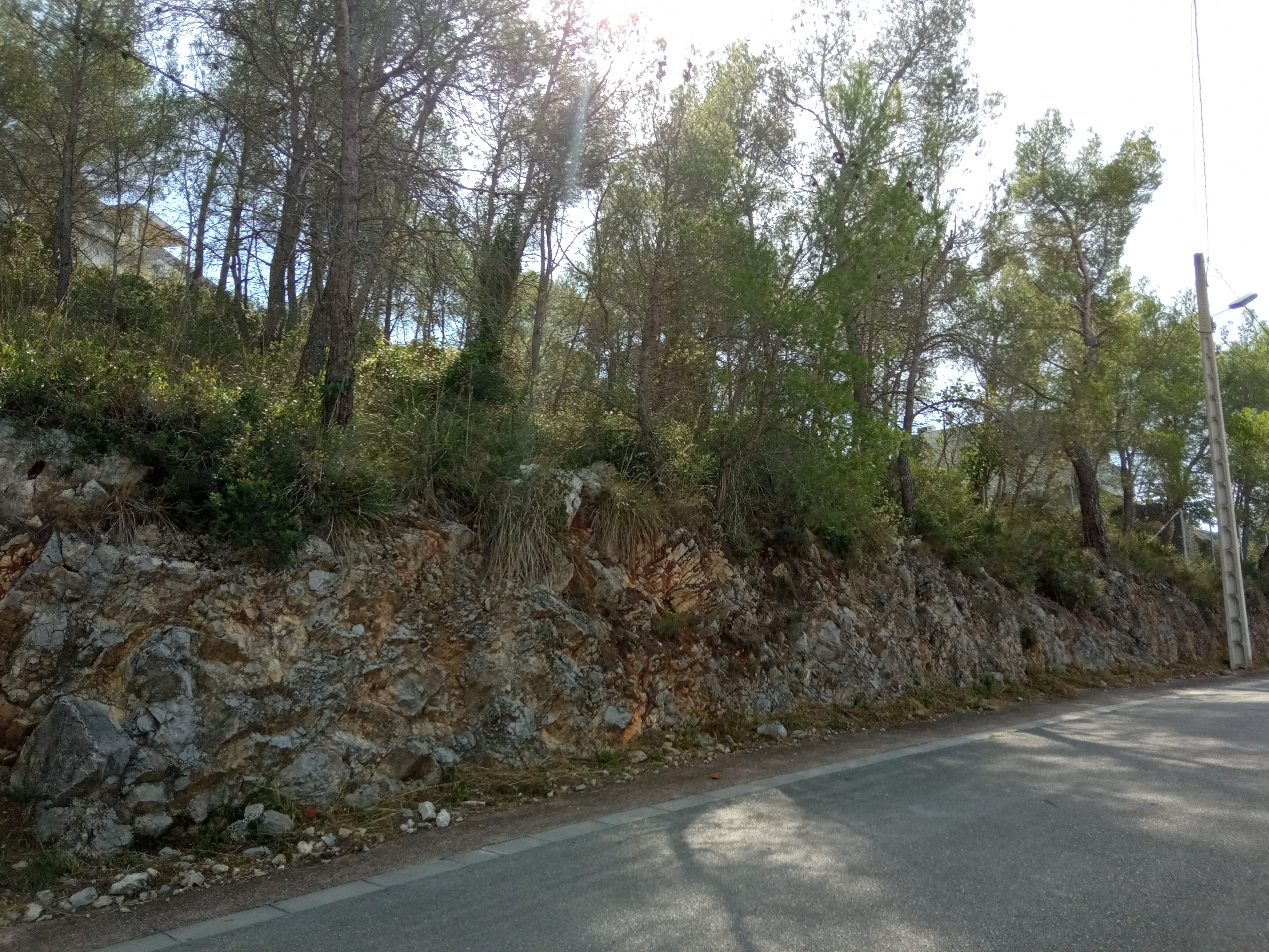  - Image 4