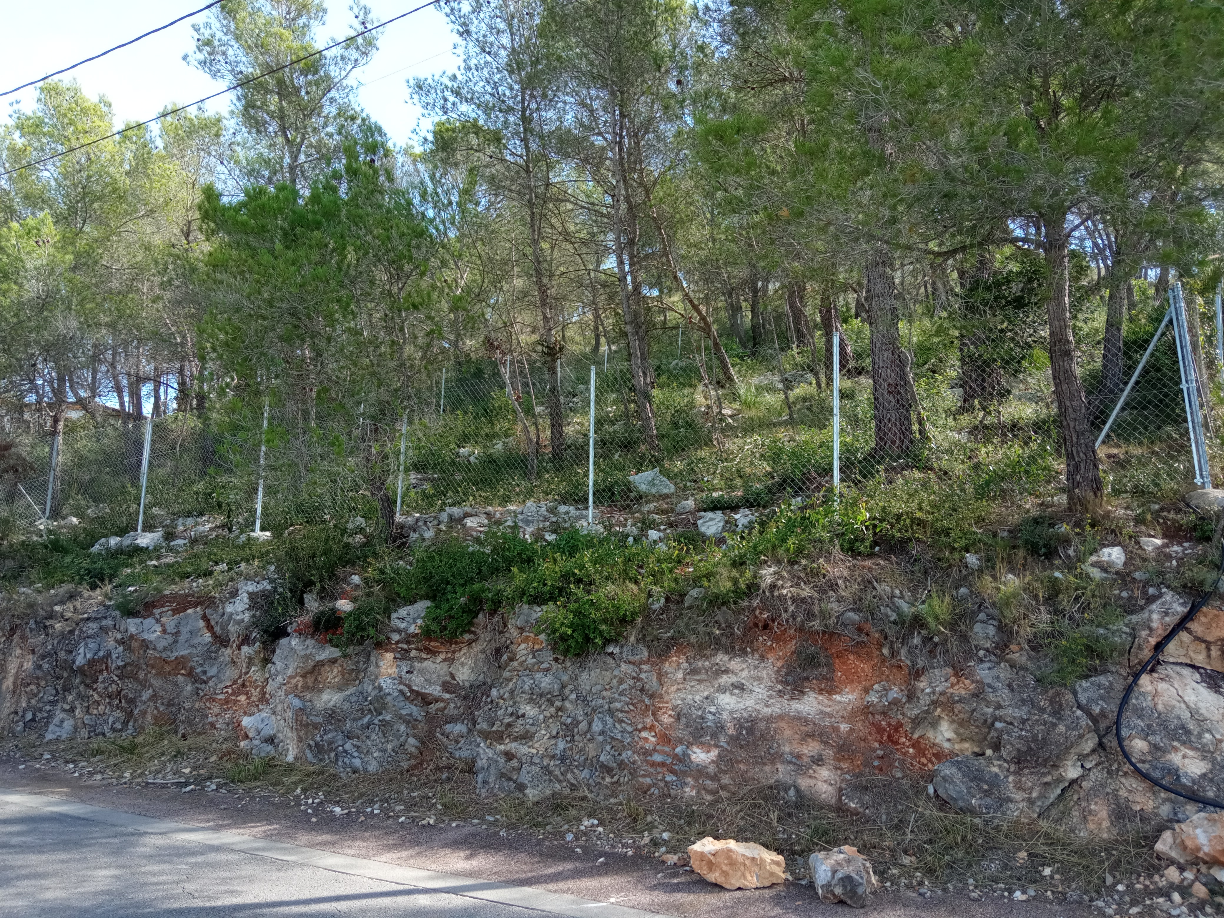  - Image 6