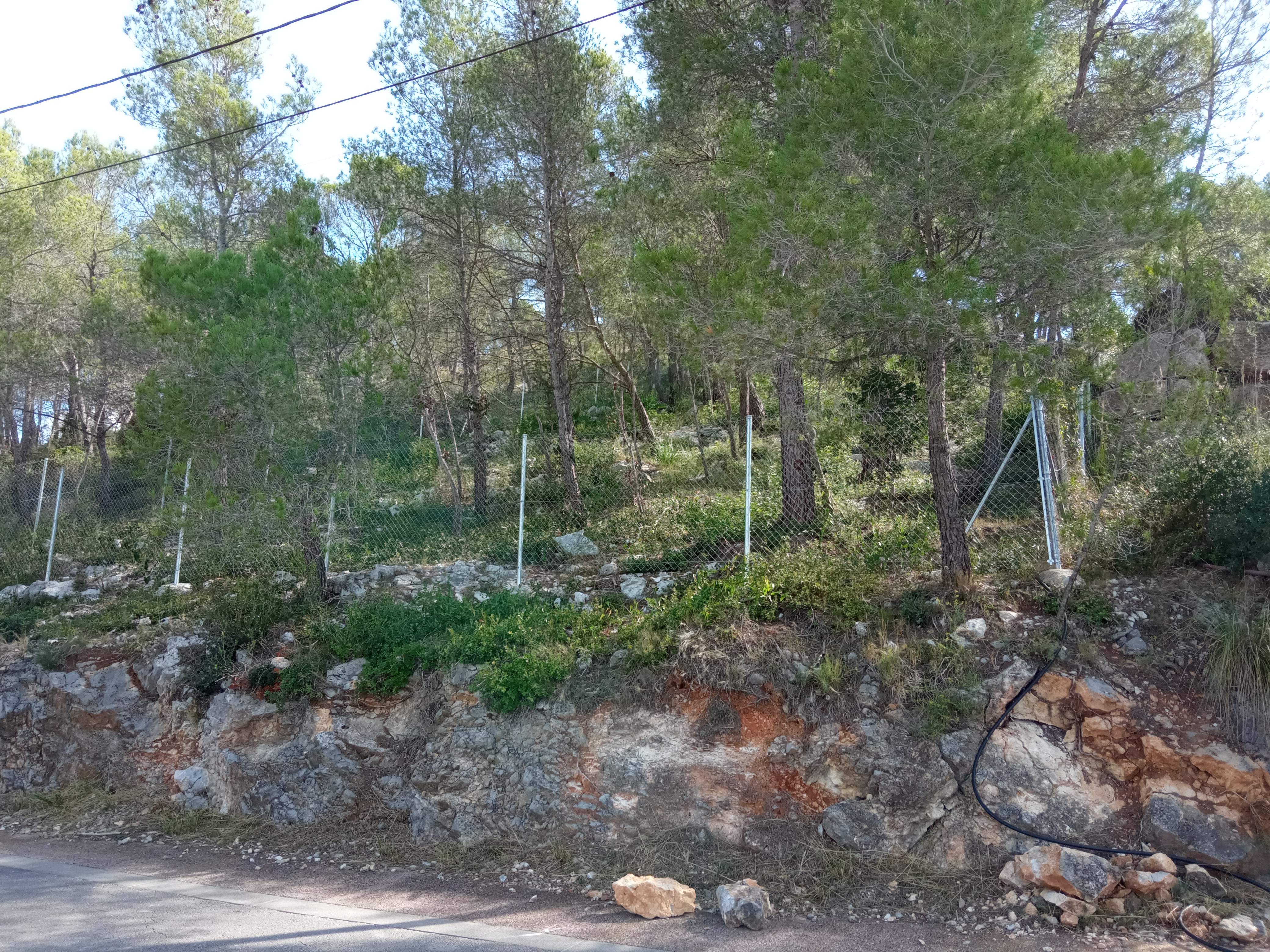 - Image 7