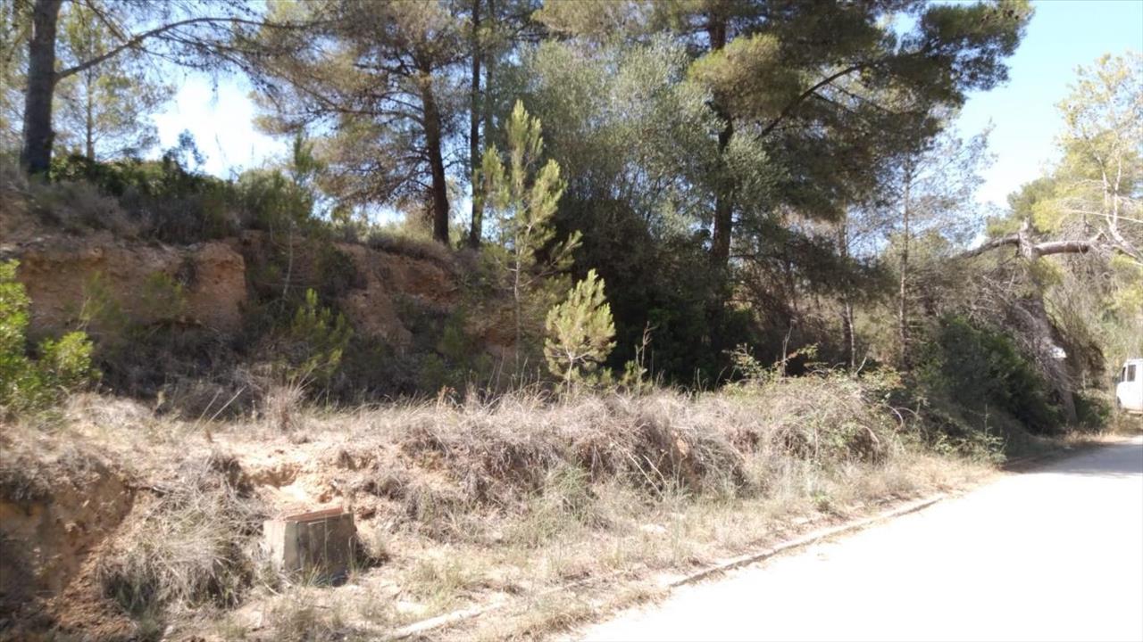  - Image 8