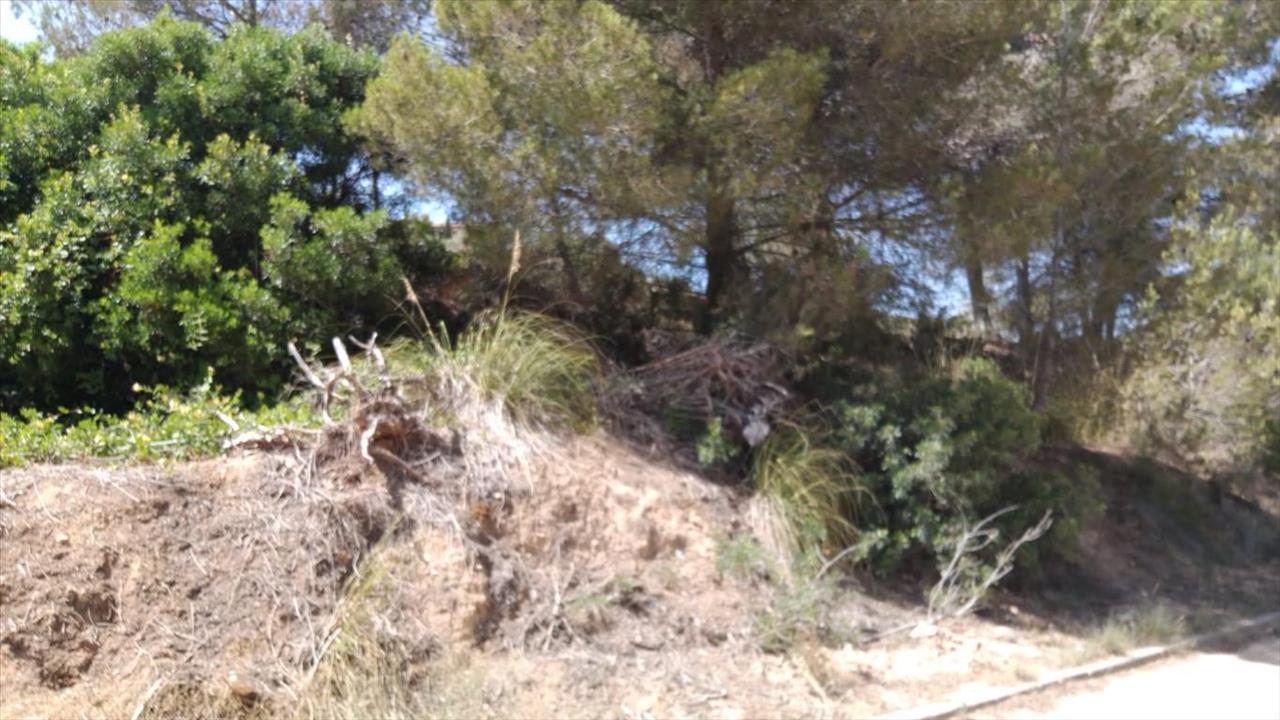  - Image 9