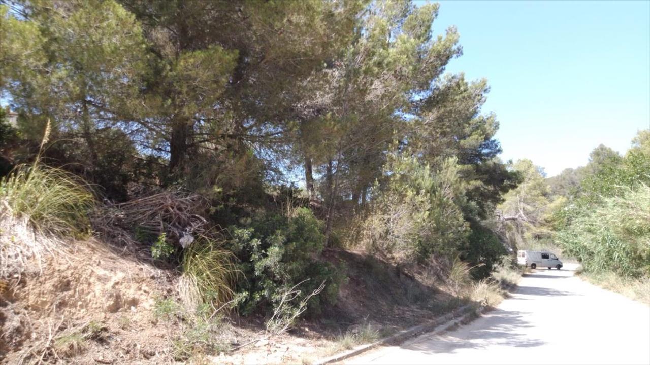  - Image 10