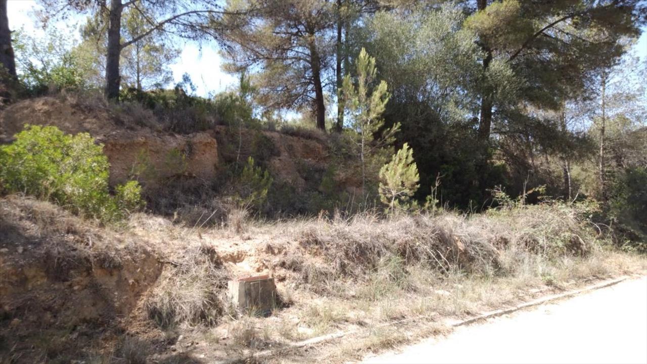  - Image 11