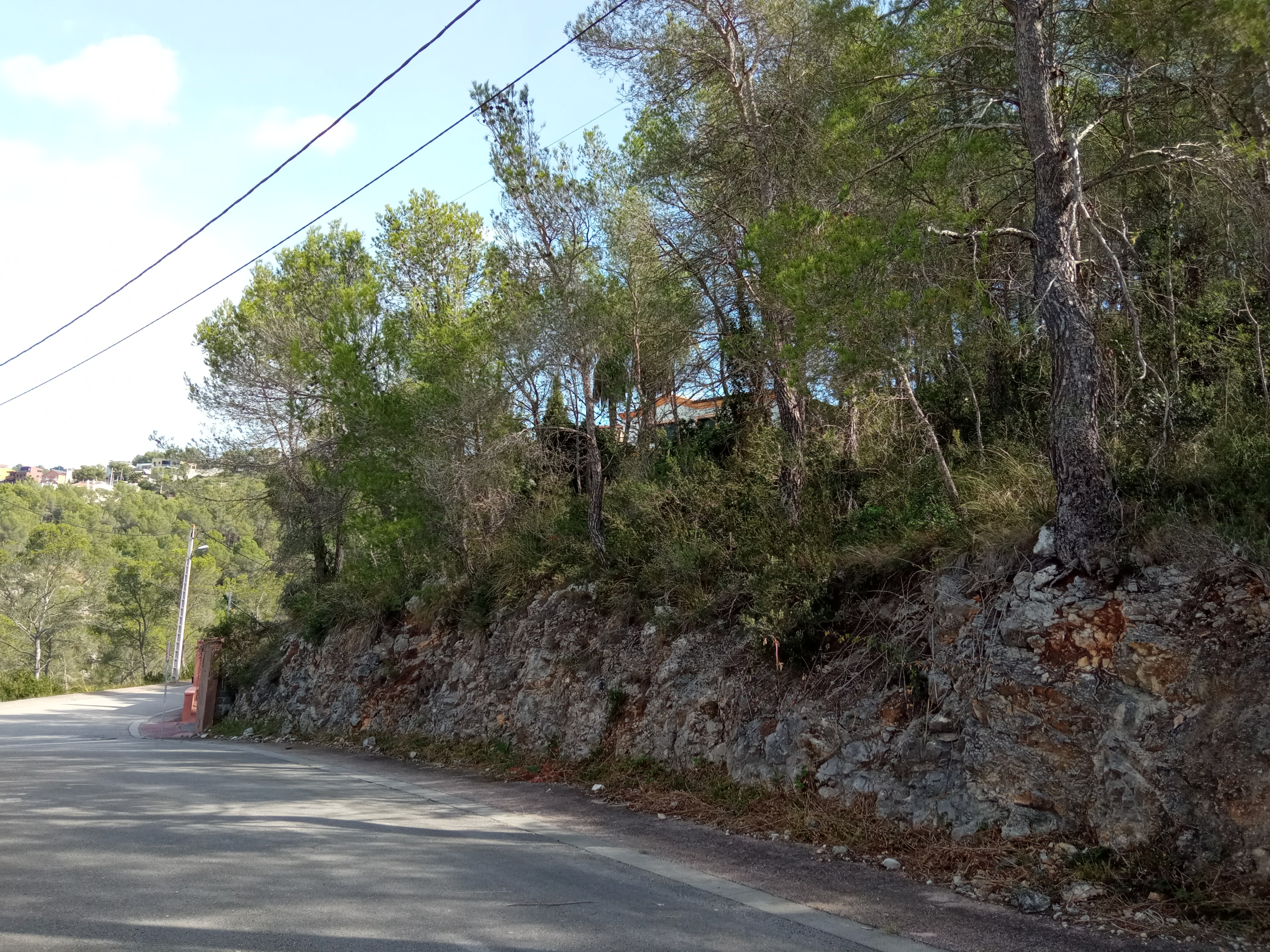  - Image 2
