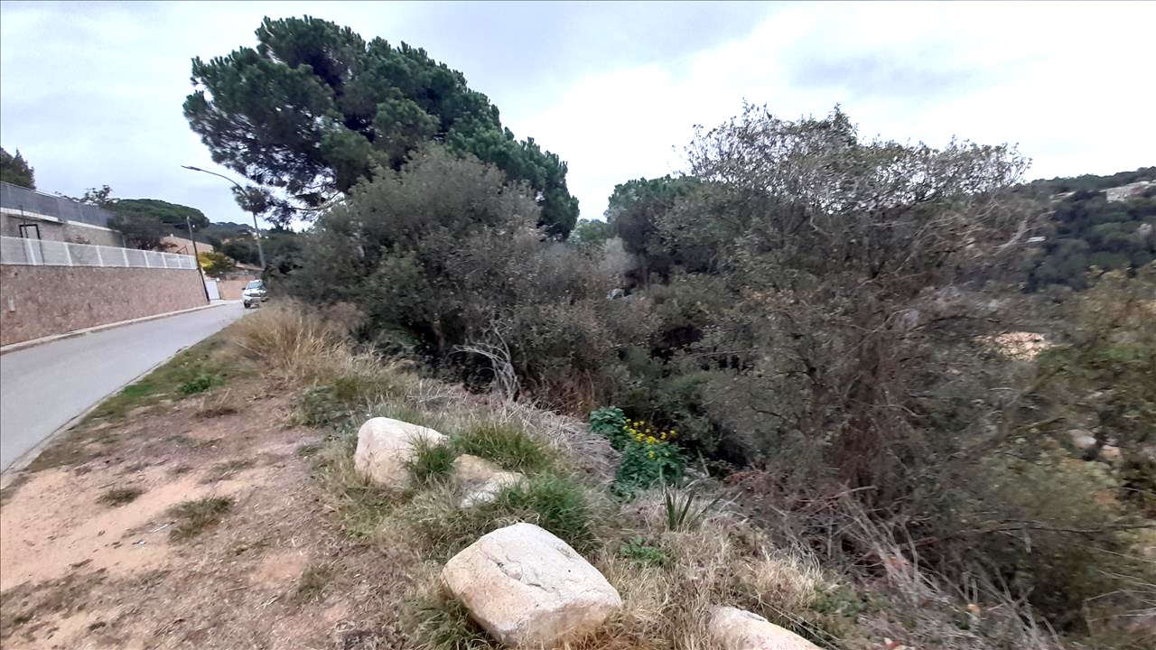  - Image 3