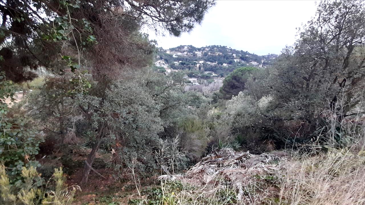 - Image 4