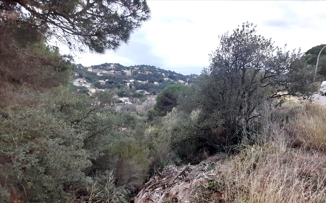  - Image 5