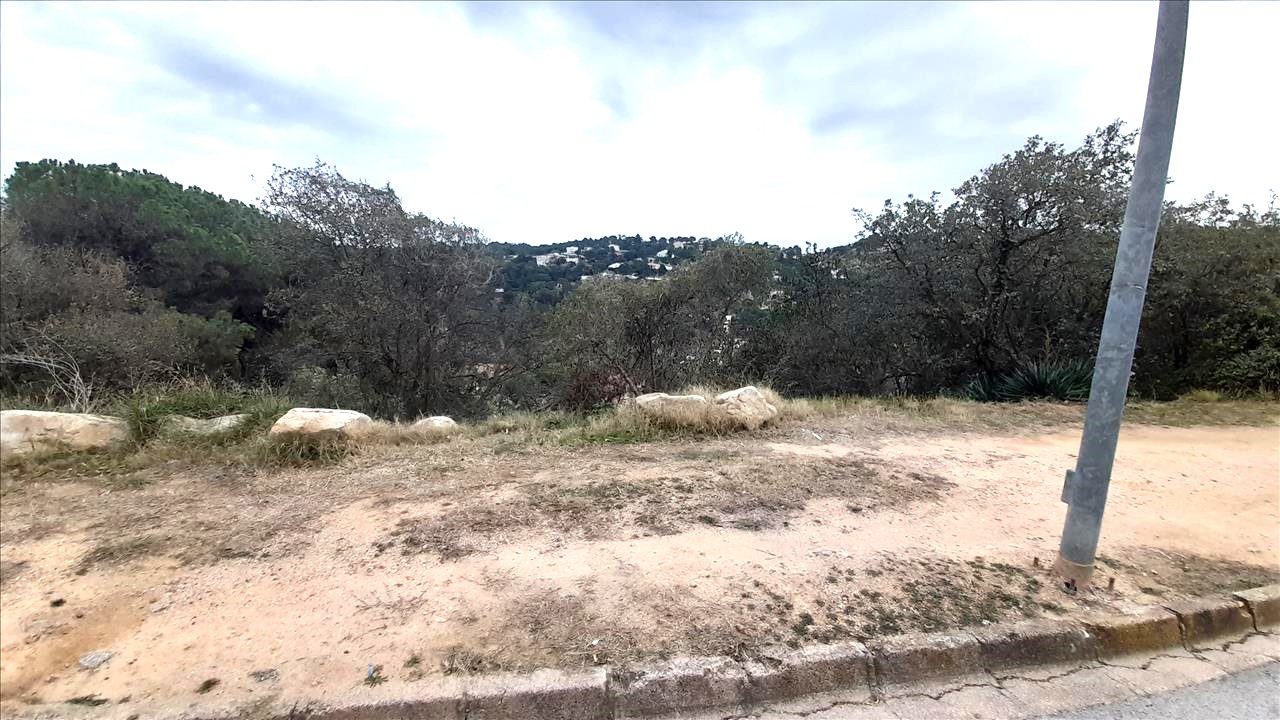  - Image 1
