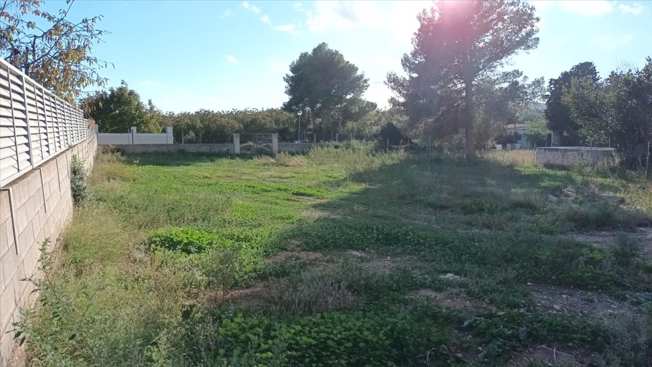 Image2