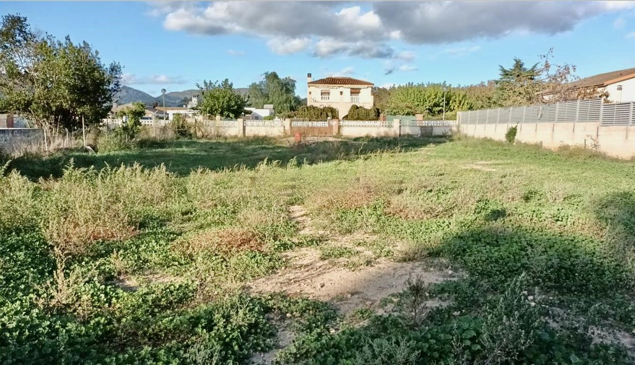 Image4