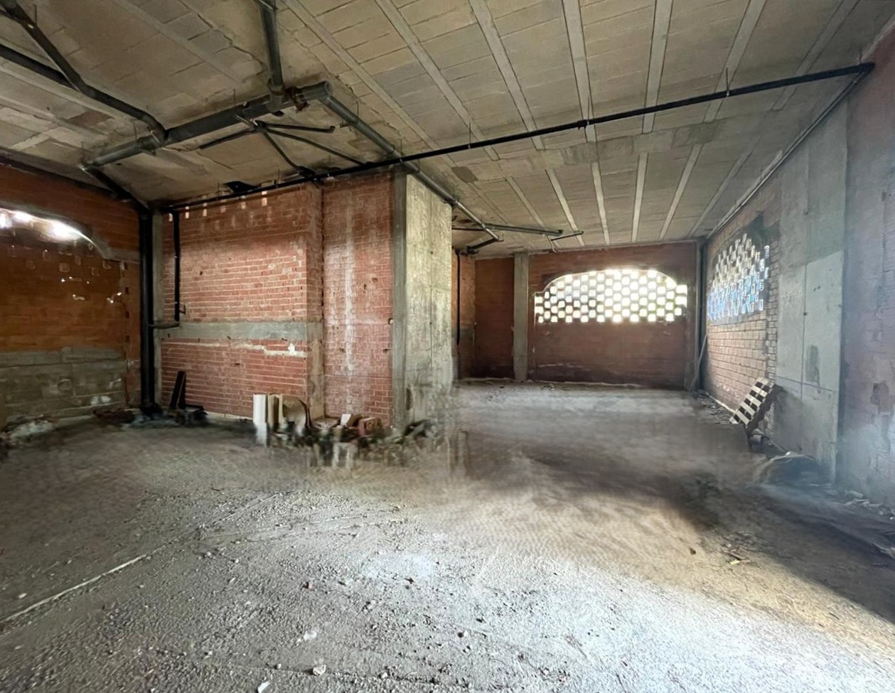 - Image 7