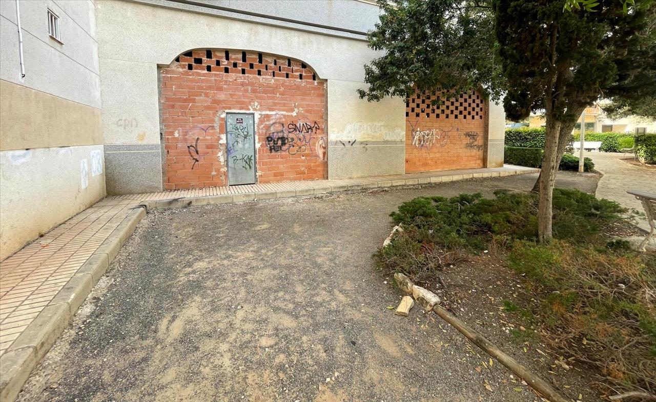 - Image 15
