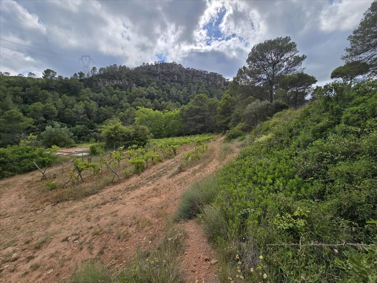 Suelo en Aiguamúrcia, Tarragona