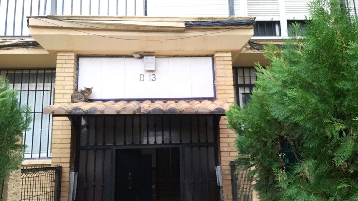Piso en Aljarafe Del
