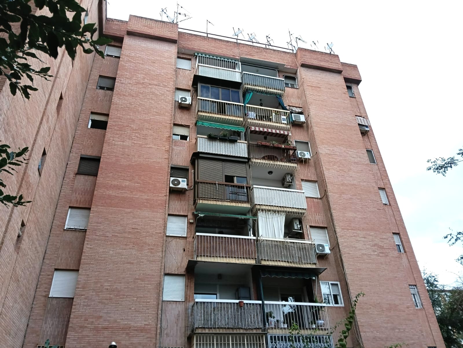 Piso en Francisco Pizarro