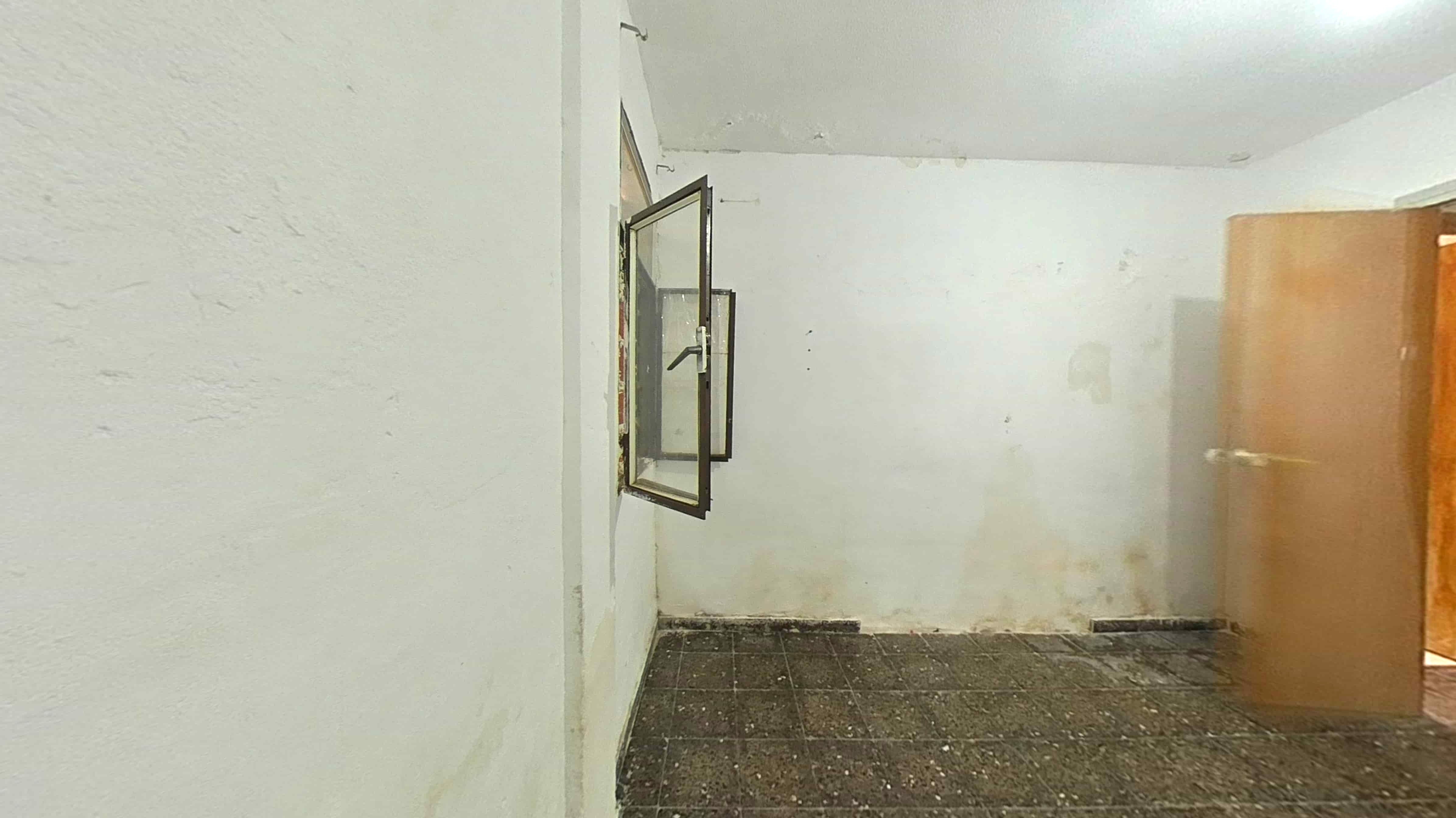 - Image 11