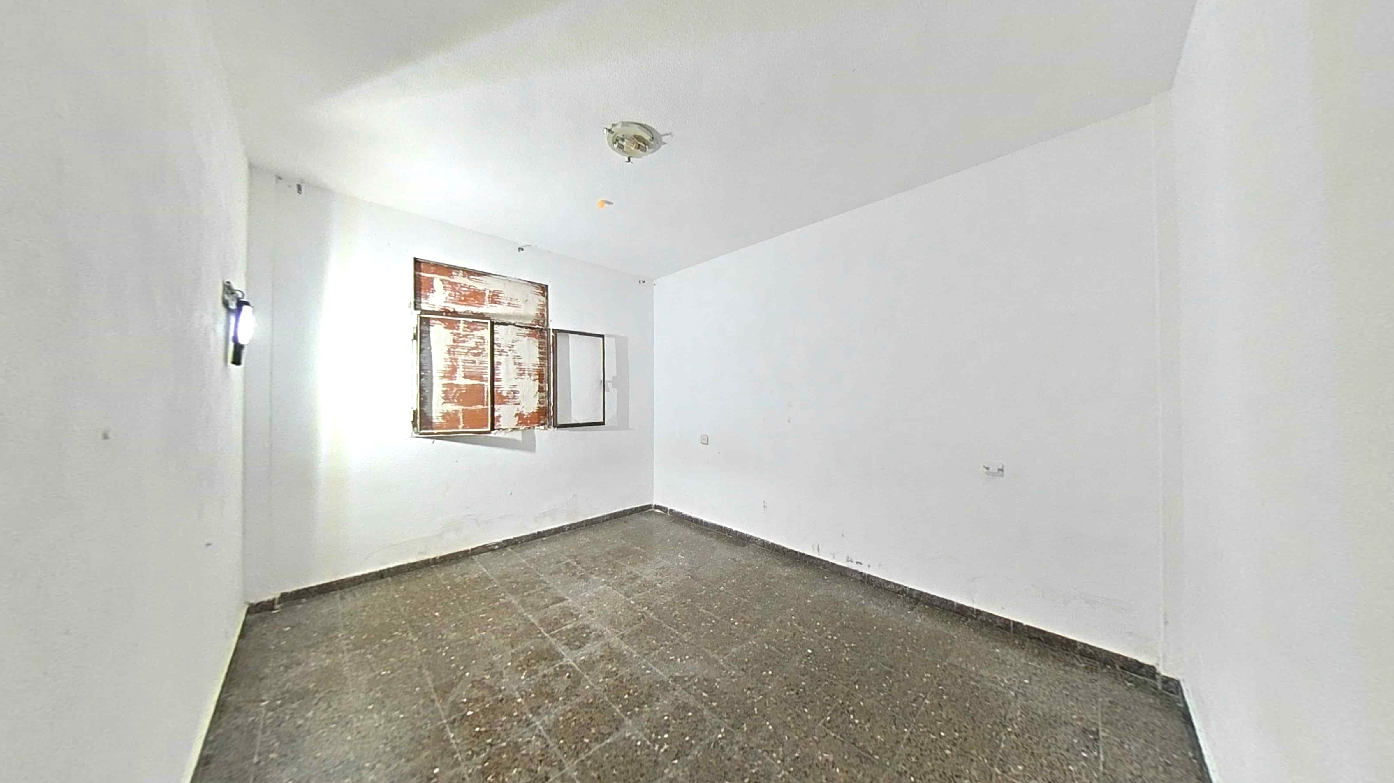 - Image 19