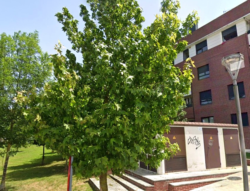 Polanco, Cantabria