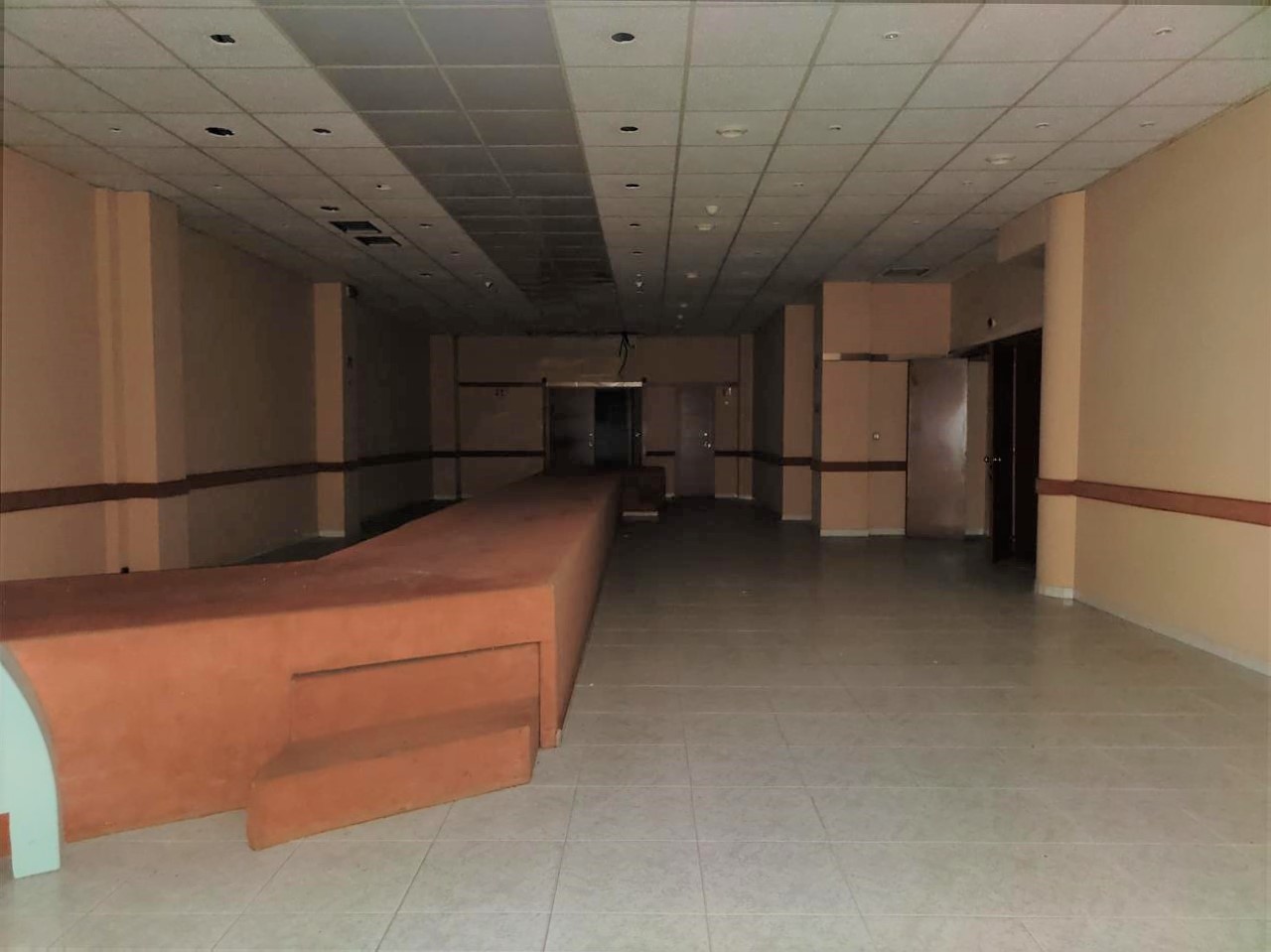 Image4