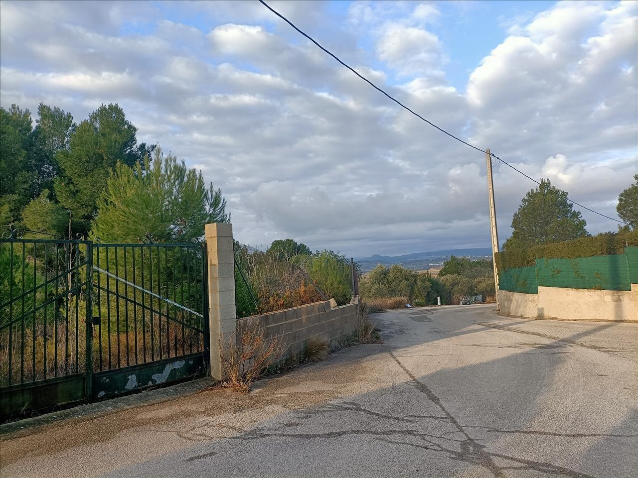 Image2