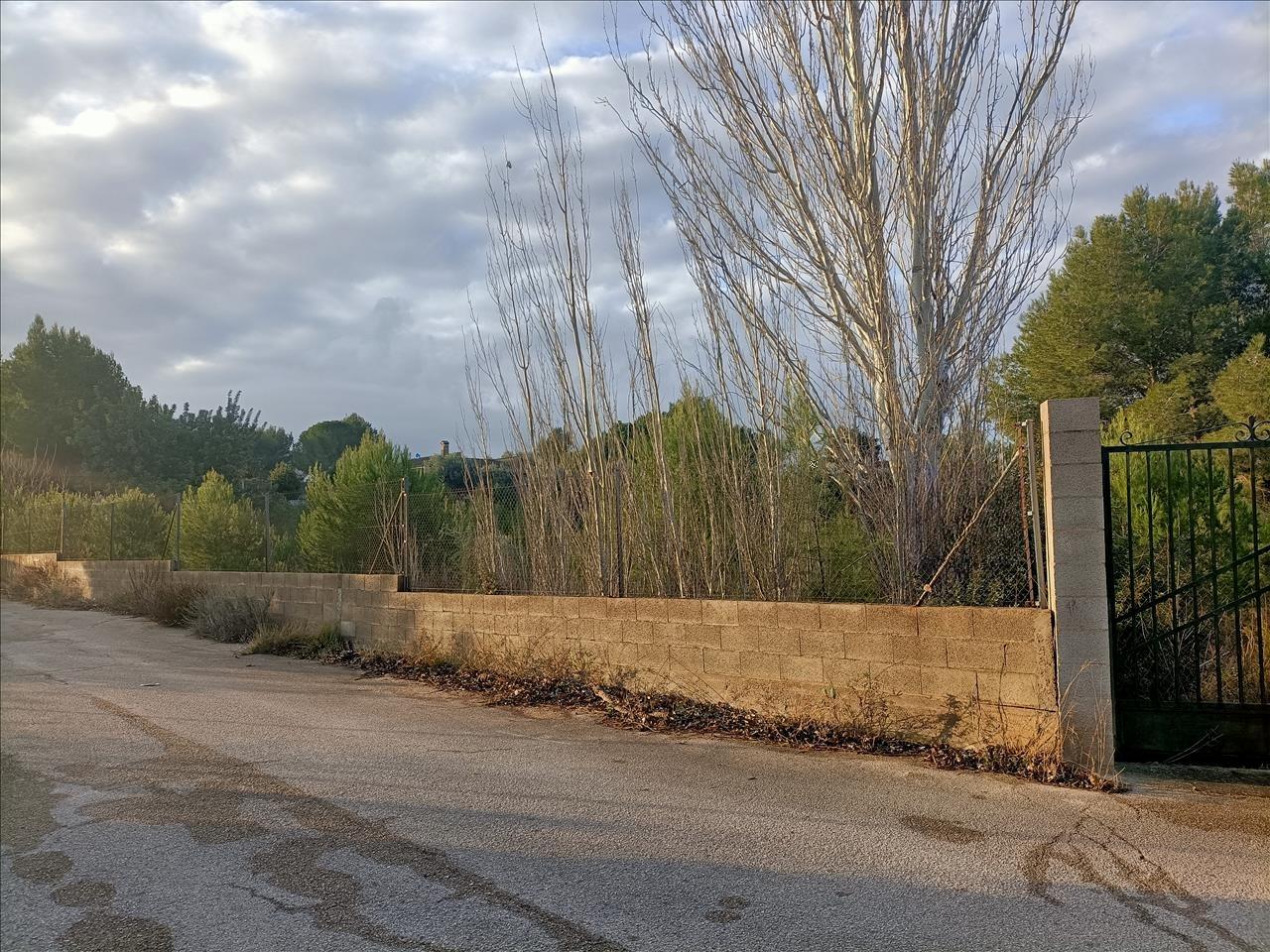 Image3